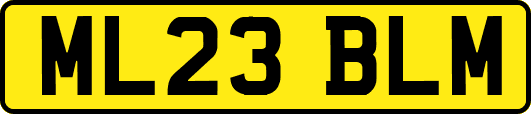ML23BLM