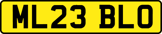 ML23BLO