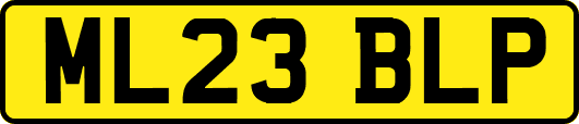 ML23BLP