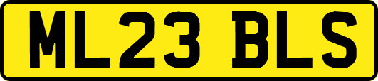 ML23BLS
