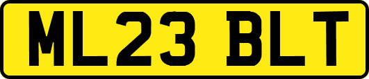 ML23BLT