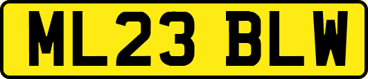 ML23BLW