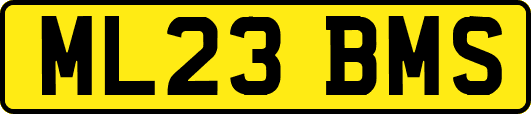 ML23BMS
