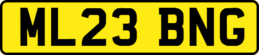 ML23BNG