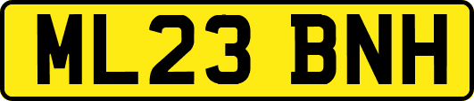 ML23BNH