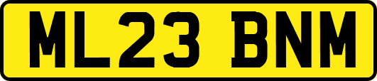 ML23BNM