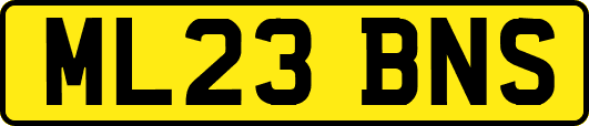 ML23BNS