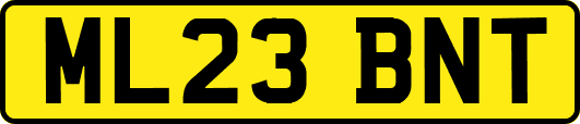 ML23BNT