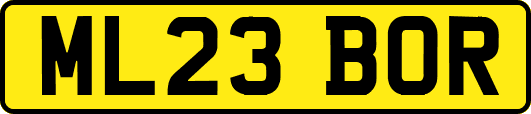 ML23BOR