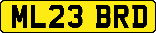 ML23BRD