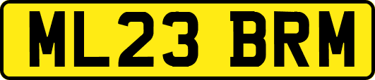 ML23BRM