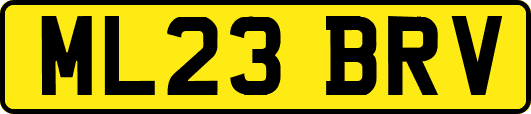 ML23BRV