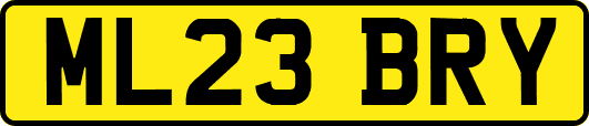 ML23BRY