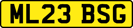 ML23BSG