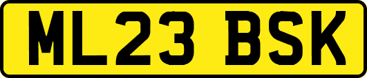 ML23BSK