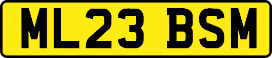 ML23BSM