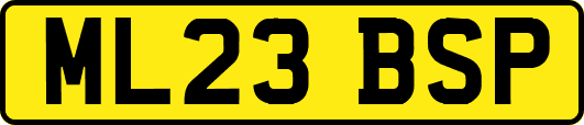 ML23BSP