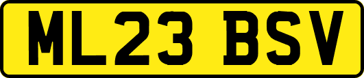 ML23BSV