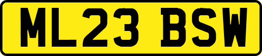 ML23BSW