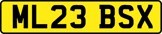 ML23BSX