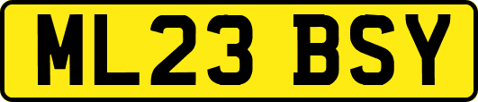 ML23BSY