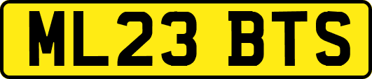 ML23BTS