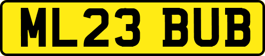 ML23BUB