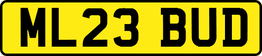 ML23BUD