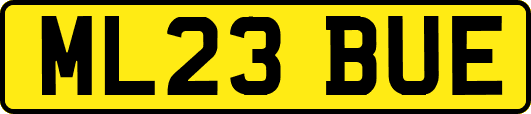 ML23BUE