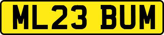 ML23BUM