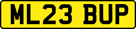 ML23BUP