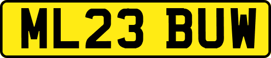ML23BUW