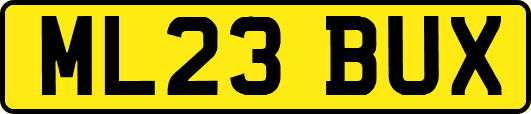 ML23BUX