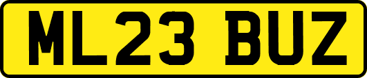 ML23BUZ