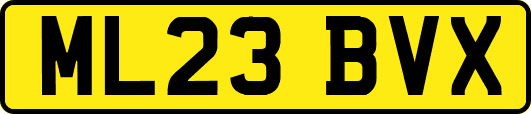 ML23BVX