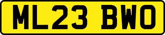 ML23BWO