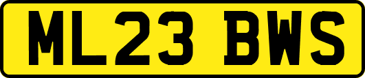 ML23BWS