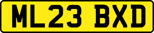 ML23BXD