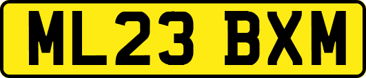 ML23BXM