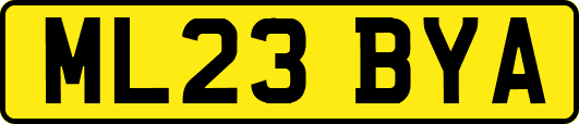ML23BYA