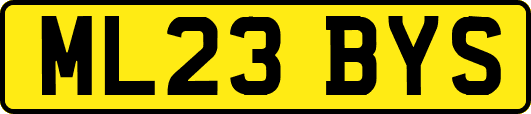 ML23BYS
