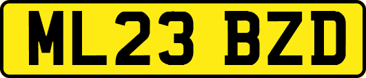 ML23BZD