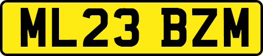ML23BZM