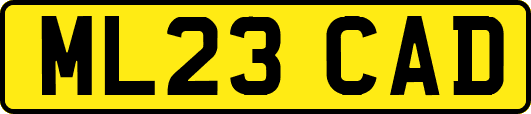 ML23CAD