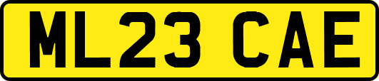 ML23CAE