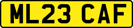 ML23CAF