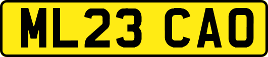 ML23CAO