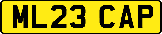ML23CAP