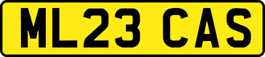 ML23CAS