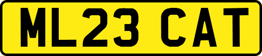 ML23CAT